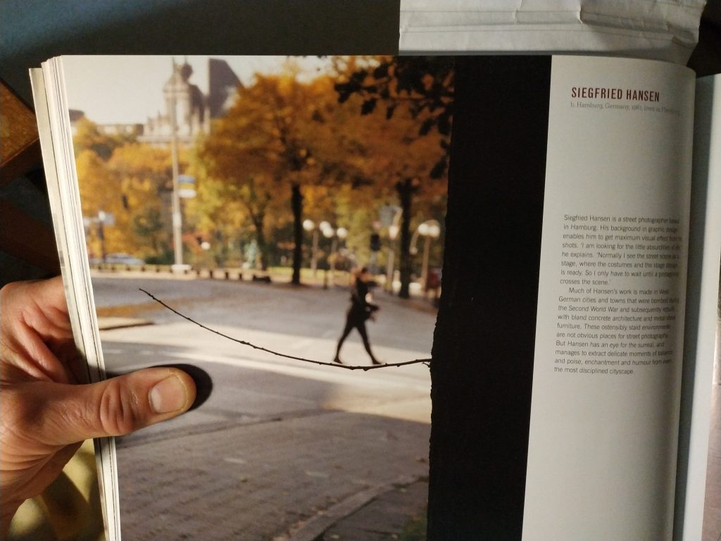 A hand is holding a book open, there is the title "Seigfried Hansen" to the right and some small text underneath. The left of the page shows a photo where a tree is close up on the right of frame, with a small twig sticking out that slowly turns upwards. In the background are out of focus trees, buildings, and a person walking left to right. The person appears to be standing on the twig of the tree.